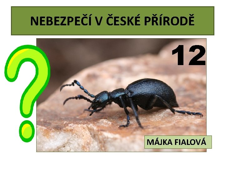 NEBEZPEČÍ V ČESKÉ PŘÍRODĚ 12 MÁJKA FIALOVÁ 