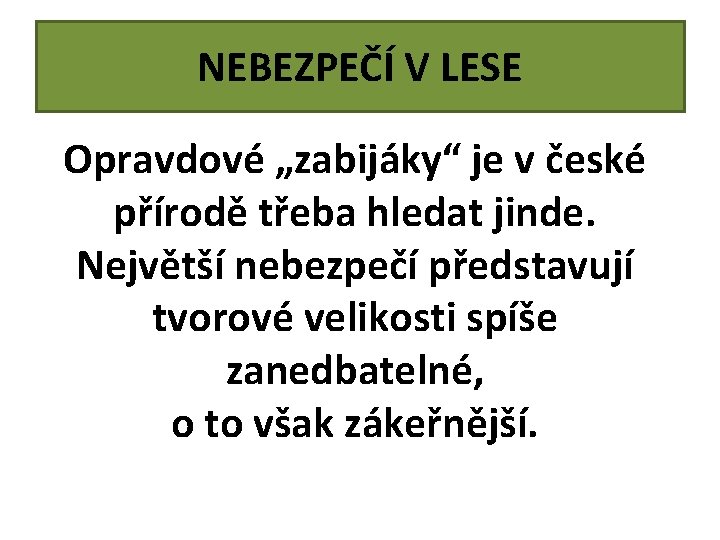 NEBEZPEČÍ V LESE Opravdové „zabijáky“ je v české přírodě třeba hledat jinde. Největší nebezpečí