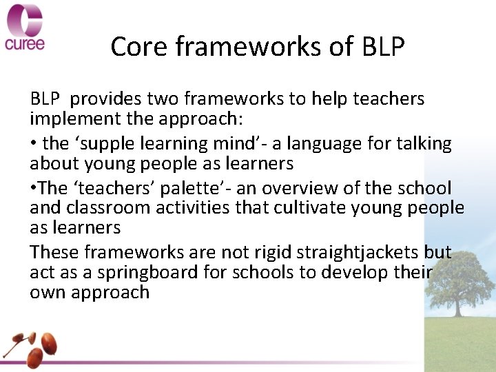 Core frameworks of BLP provides two frameworks to help teachers implement the approach: •