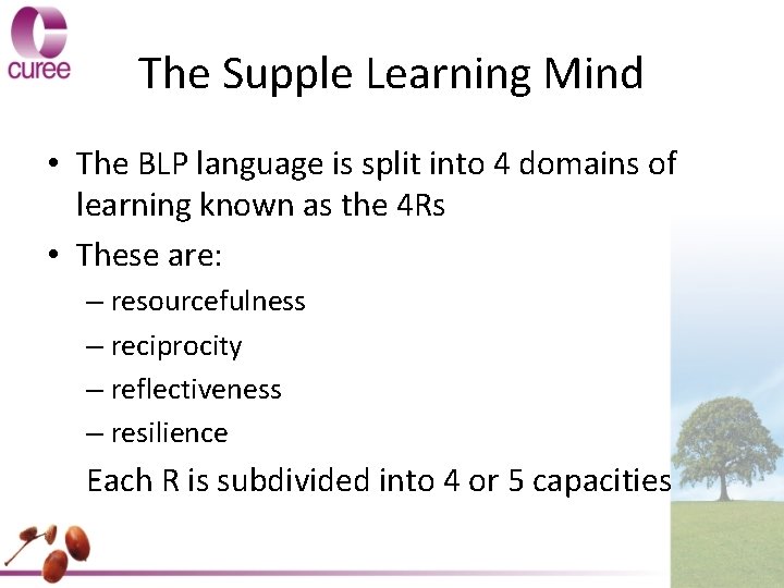 The Supple Learning Mind • The BLP language is split into 4 domains of