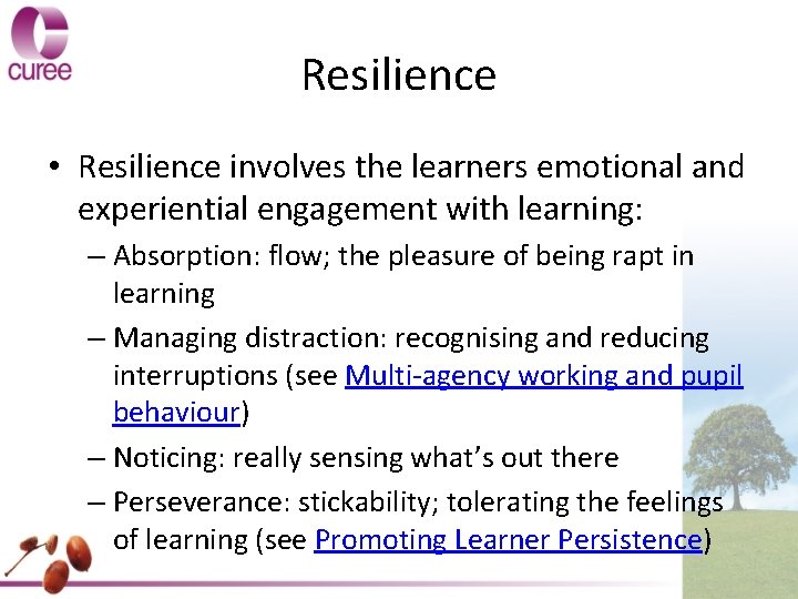 Resilience • Resilience involves the learners emotional and experiential engagement with learning: – Absorption: