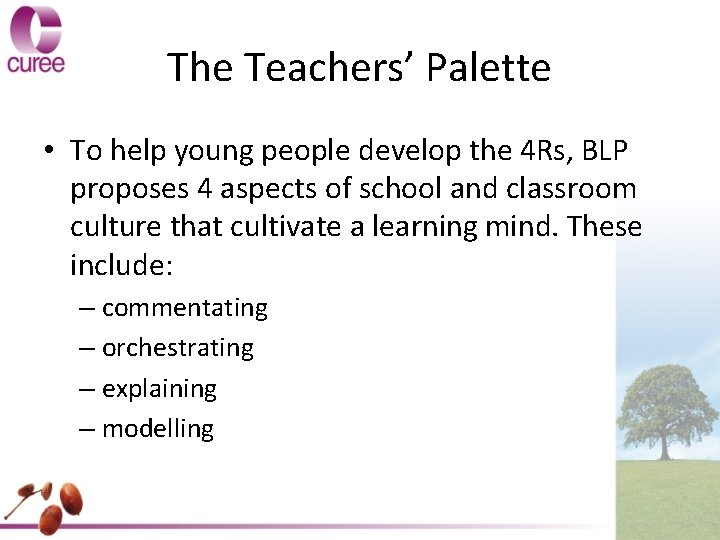 The Teachers’ Palette • To help young people develop the 4 Rs, BLP proposes