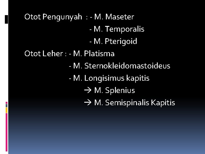 Otot Pengunyah : - M. Maseter - M. Temporalis - M. Pterigoid Otot Leher