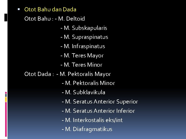  Otot Bahu dan Dada Otot Bahu : - M. Deltoid - M. Subskapularis