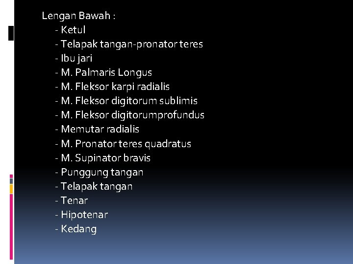 Lengan Bawah : - Ketul - Telapak tangan-pronator teres - Ibu jari - M.