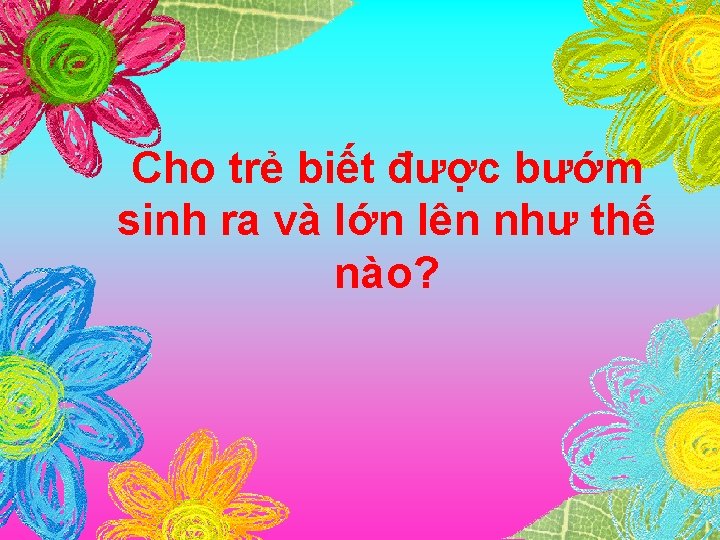 Cho trẻ biết được bướm sinh ra và lớn lên như thế nào? 