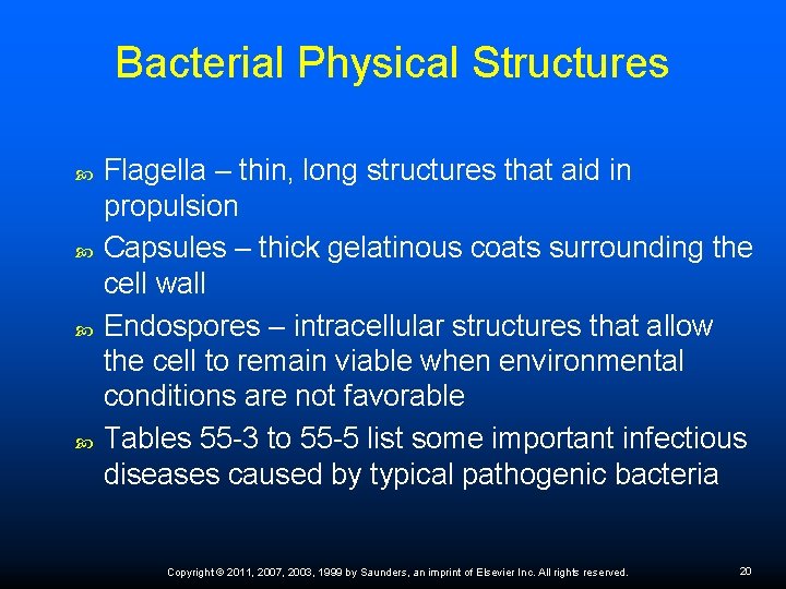 Bacterial Physical Structures Flagella – thin, long structures that aid in propulsion Capsules –