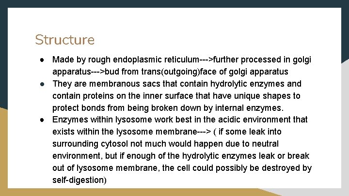 Structure ● Made by rough endoplasmic reticulum--->further processed in golgi apparatus--->bud from trans(outgoing)face of