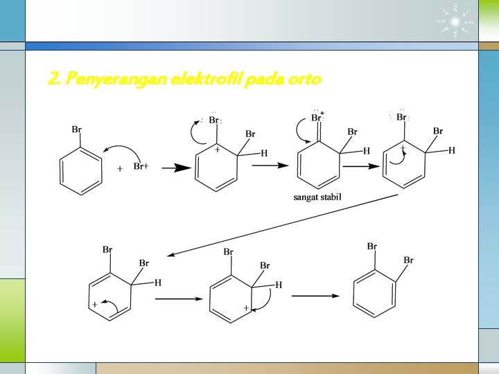 2. Penyerangan elektrofil pada orto 