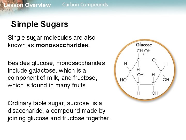 Lesson Overview Carbon Compounds Simple Sugars Single sugar molecules are also known as monosaccharides.
