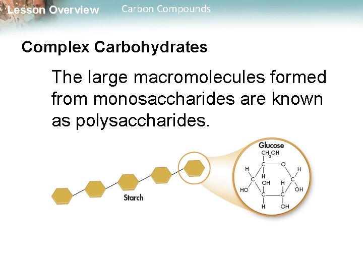 Lesson Overview Carbon Compounds Complex Carbohydrates The large macromolecules formed from monosaccharides are known