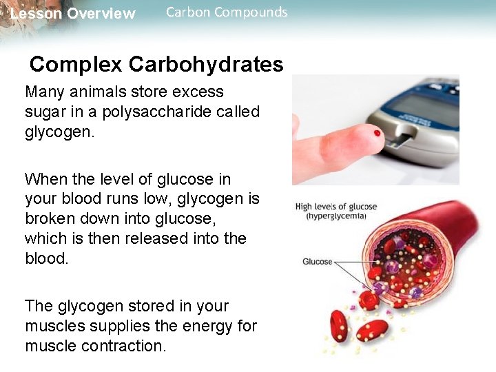 Lesson Overview Carbon Compounds Complex Carbohydrates Many animals store excess sugar in a polysaccharide