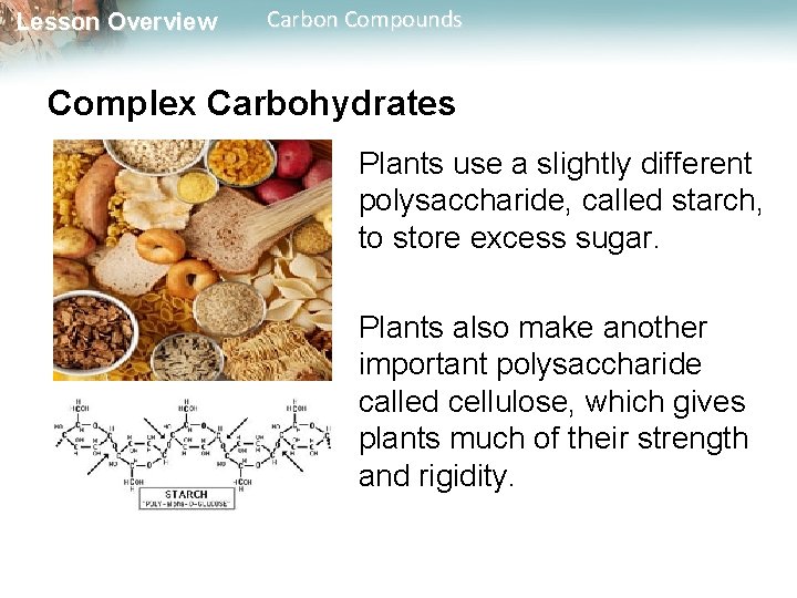 Lesson Overview Carbon Compounds Complex Carbohydrates Plants use a slightly different polysaccharide, called starch,