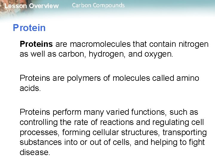 Lesson Overview Carbon Compounds Proteins are macromolecules that contain nitrogen as well as carbon,