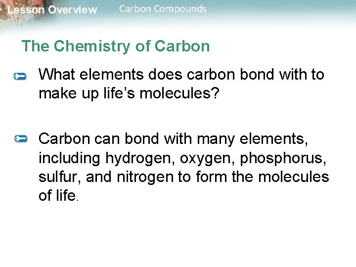 Lesson Overview Carbon Compounds The Chemistry of Carbon What elements does carbon bond with