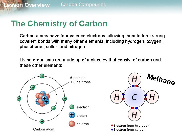 Lesson Overview Carbon Compounds The Chemistry of Carbon atoms have four valence electrons, allowing