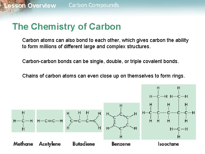 Lesson Overview Carbon Compounds The Chemistry of Carbon atoms can also bond to each