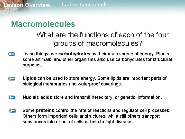 Lesson Overview Carbon Compounds Macromolecules What are the functions of each of the four
