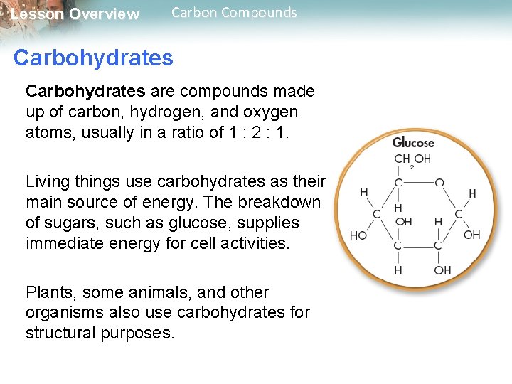 Lesson Overview Carbon Compounds Carbohydrates are compounds made up of carbon, hydrogen, and oxygen