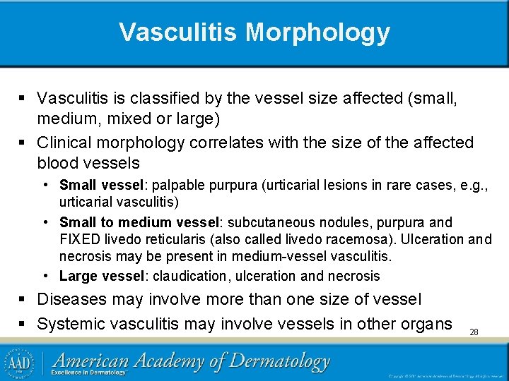 Vasculitis Morphology § Vasculitis is classified by the vessel size affected (small, medium, mixed