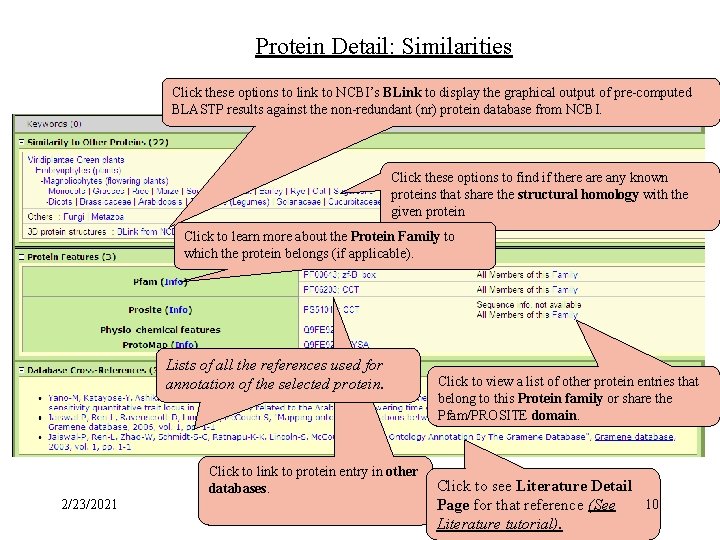 Protein Detail: Similarities Click these options to link to NCBI’s BLink to display the