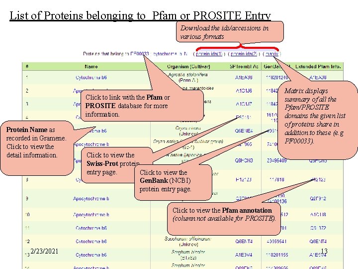 Pfam/PROSITE ID List of Proteins belonging to Pfam or PROSITE Entry Download the ids/accessions