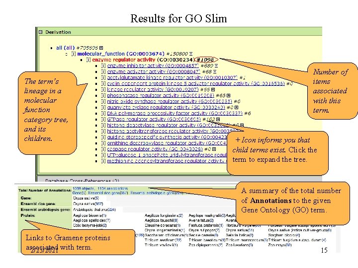 Results for GO Slim The term’s lineage in a molecular function category tree, and