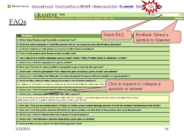 FAQs Search FAQ Feedback: Submit a question to Gramene Click to expand or collapse