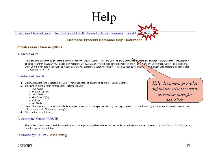 Help document provides definitions of terms used, as well as hints for searches. 2/23/2021