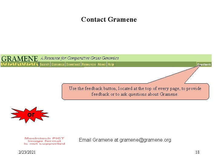Contact Gramene Use the feedback button, located at the top of every page, to
