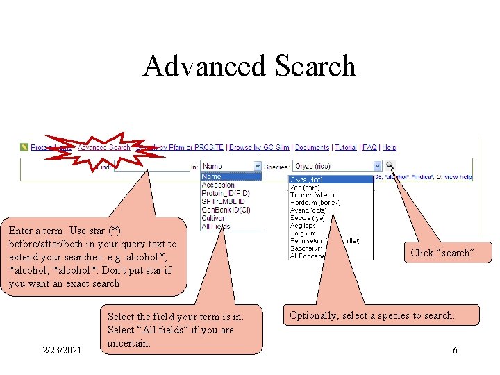 Advanced Search Enter a term. Use star (*) before/after/both in your query text to