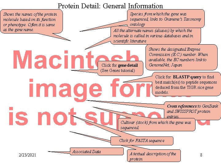 Protein Detail: General Information Shows the names of the protein molecule based on its