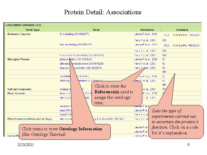 Protein Detail: Associations Protein Associations Click to view the Reference(s) used to assign the