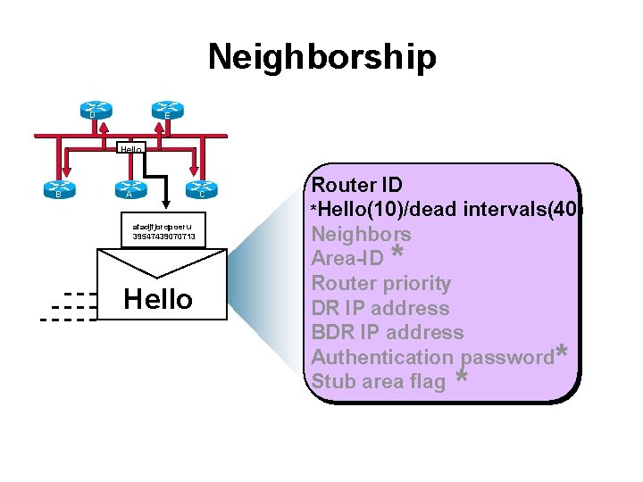 Neighborship D E Hello B A afadjfjorqpoeru 39547439070713 Hello C Router ID *Hello(10)/dead intervals(40)