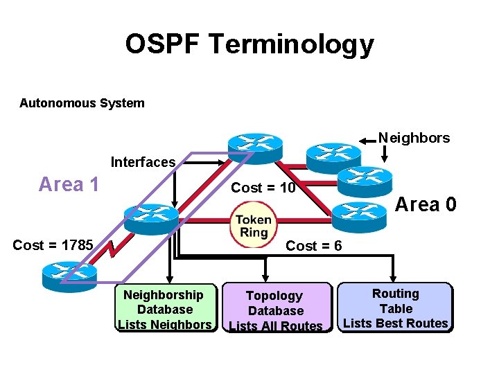 OSPF Terminology Autonomous System Neighbors Interfaces Area 1 Cost = 10 Cost = 1785