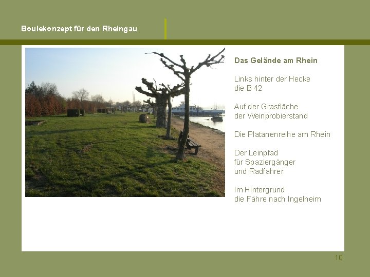 Boulekonzept für den Rheingau Das Gelände am Rhein Links hinter der Hecke die B