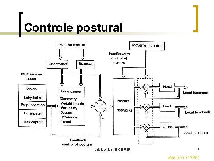 Controle postural Luis Mochizuki EACH USP 17 Massion (1998) 