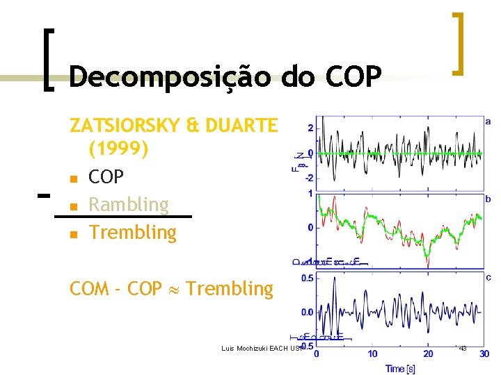 Decomposição do COP ZATSIORSKY & DUARTE (1999) n COP n Rambling n Trembling COM