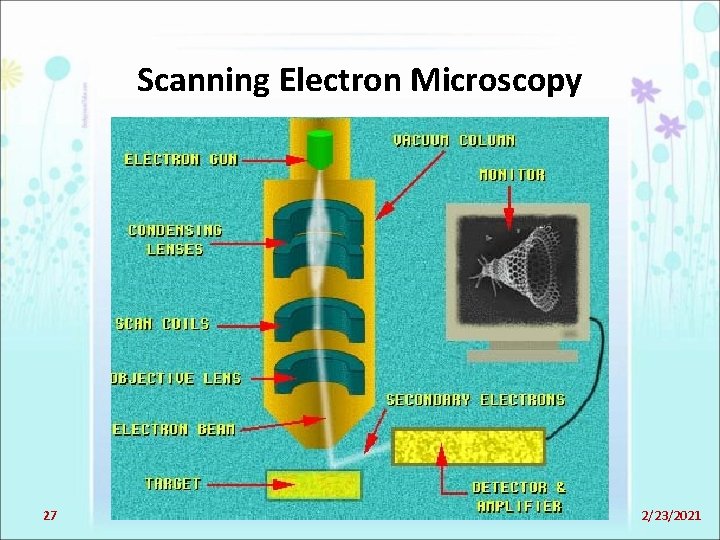 Scanning Electron Microscopy 27 2/23/2021 