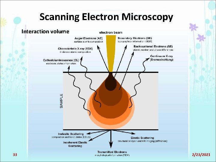 Scanning Electron Microscopy Interaction volume 33 2/23/2021 