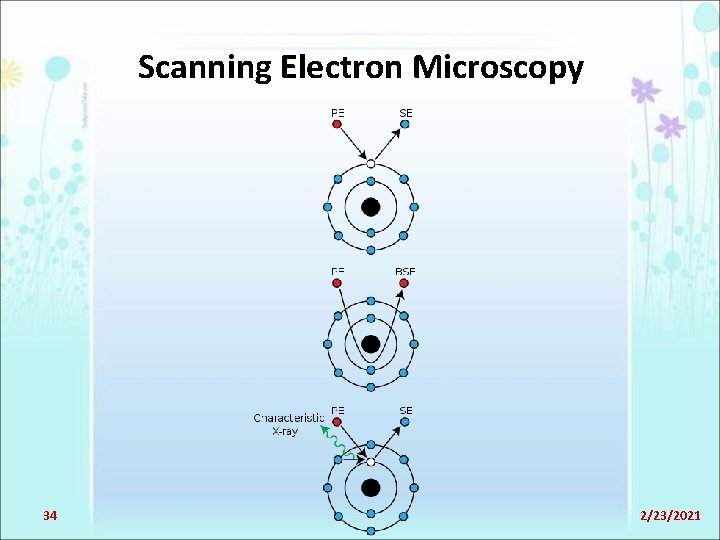 Scanning Electron Microscopy 34 2/23/2021 