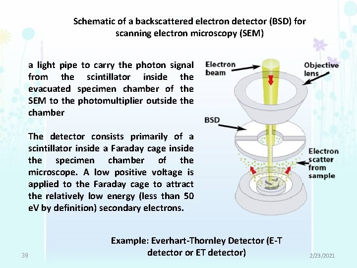 Schematic of a backscattered electron detector (BSD) for scanning electron microscopy (SEM) a light