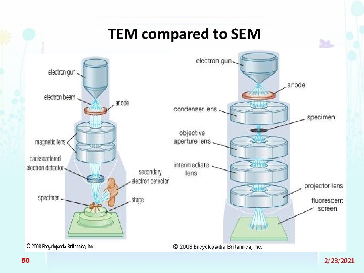 TEM compared to SEM 50 2/23/2021 