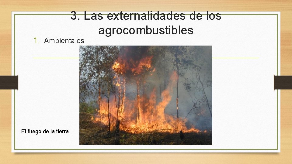 3. Las externalidades de los agrocombustibles 1. Ambientales El fuego de la tierra 