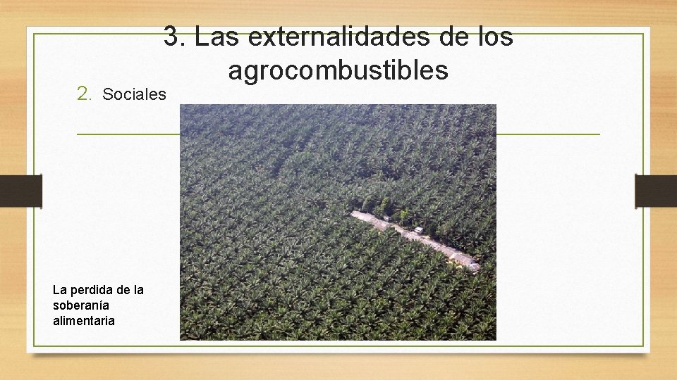 3. Las externalidades de los agrocombustibles 2. Sociales La perdida de la soberanía alimentaria