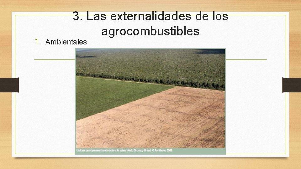 3. Las externalidades de los agrocombustibles 1. Ambientales 