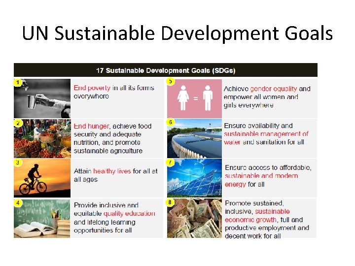 UN Sustainable Development Goals 