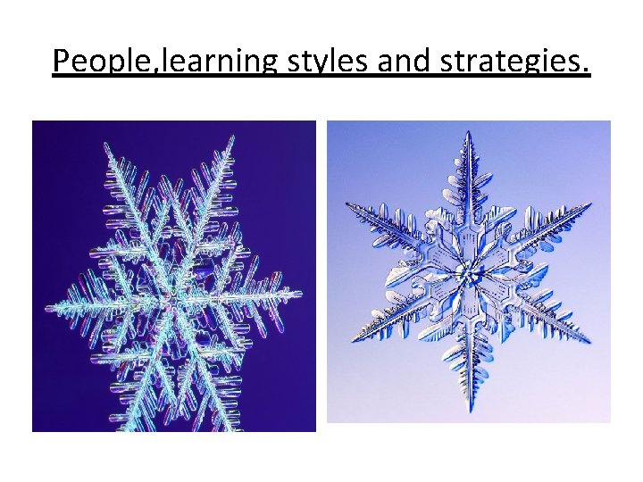 People, learning styles and strategies. 