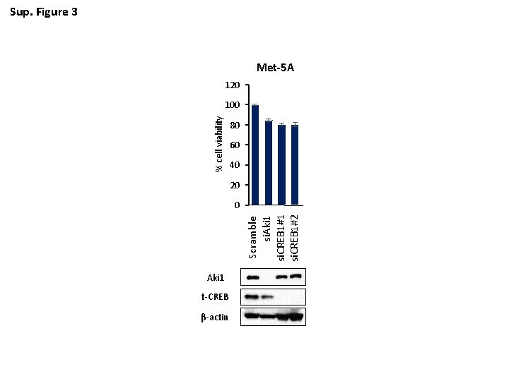 Sup. Figure 3 Met-5 A 120 % cell viability 100 80 60 40 20
