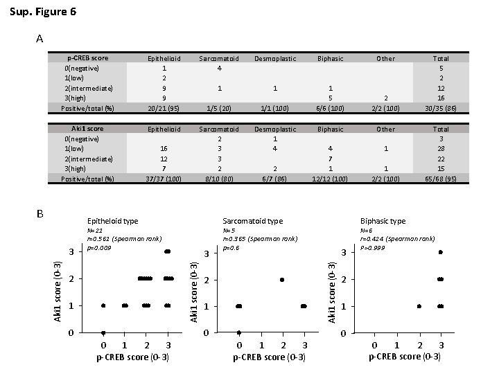 Sup. Figure 6 A p-CREB score 0(negative) 1(low) 2(intermediate) 3(high) Positive/total (%) 　 　
